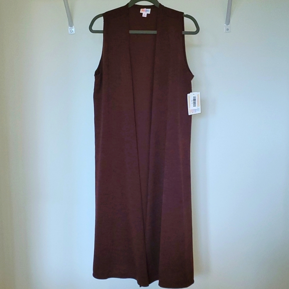 Brown Sweater Long vest/cardigan